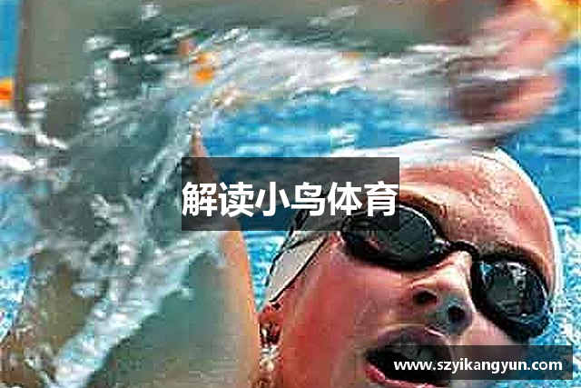 解读小鸟体育